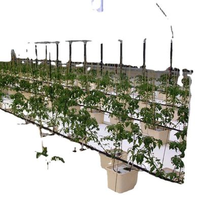 Sistema acuático acuático comercial Invernaderos PO prefabricados para vegetales