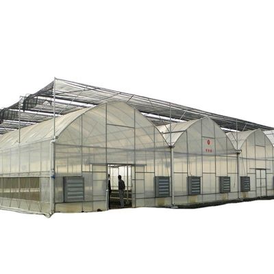 Contenedor usado de tomate material de invernadero PE Sistema de ventilación opcional