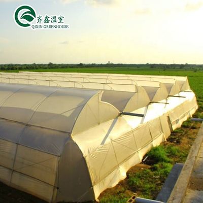 Contenedor usado de tomate material de invernadero PE Sistema de ventilación opcional
