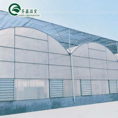 Contenedor usado de tomate material de invernadero PE Sistema de ventilación opcional