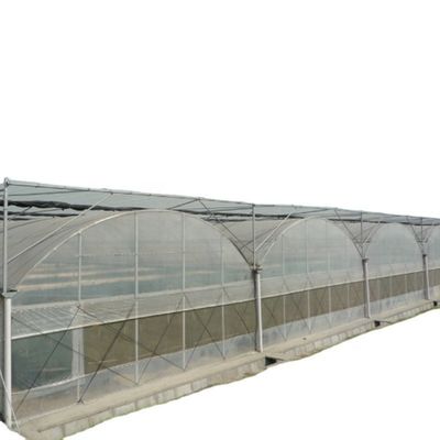 Contenedor usado de tomate material de invernadero PE Sistema de ventilación opcional