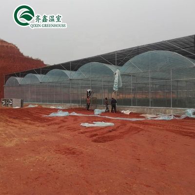 Contenedor usado de tomate material de invernadero PE Sistema de ventilación opcional