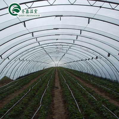 Invernadero comercial de chapa de policarbonato de múltiples estiramientos de una sola capa para la agricultura
