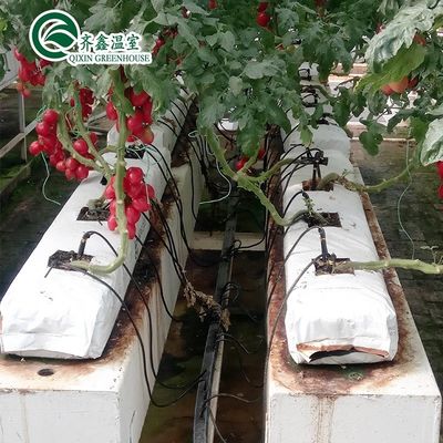 PO Torre Jardín para hortalizas Frutas Flores Invernadero agrícola económico