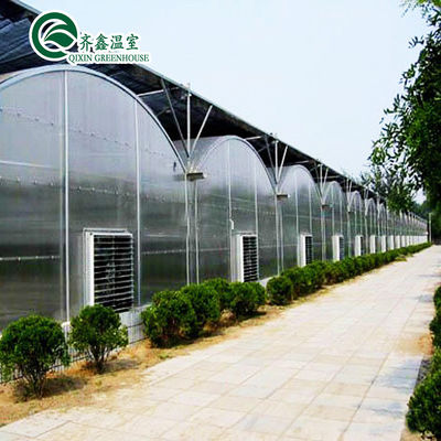 Tenda completa de cultivo hidropónico para el cultivo de verduras, frutas, flores y tomates en interiores