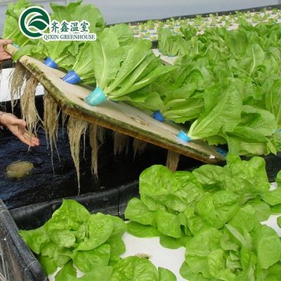PO Torre Jardín para hortalizas Frutas Flores Invernadero agrícola económico