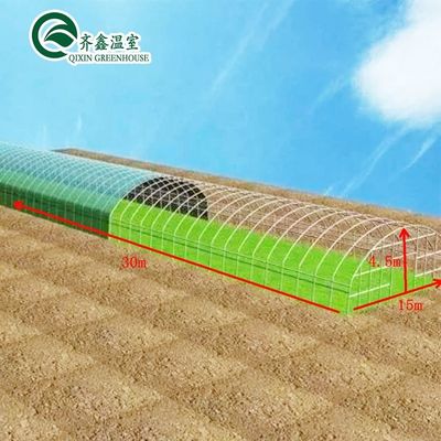 Invernaderos agrícolas de una sola extensión con película de cubierta El ambiente perfecto para el crecimiento