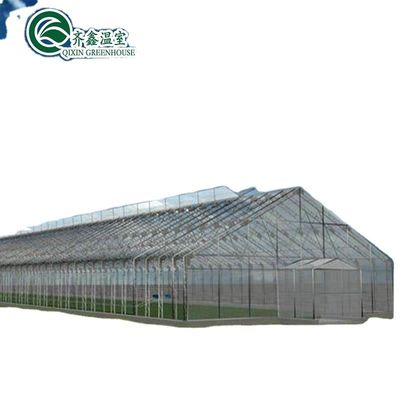 Invernadero cubierto con película Torre Jardín/Aduaponics para soluciones agrícolas sostenibles
