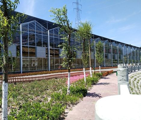 Invernaderos agrícolas de varias franjas cubiertos con vidrio templado o hoja de PC
