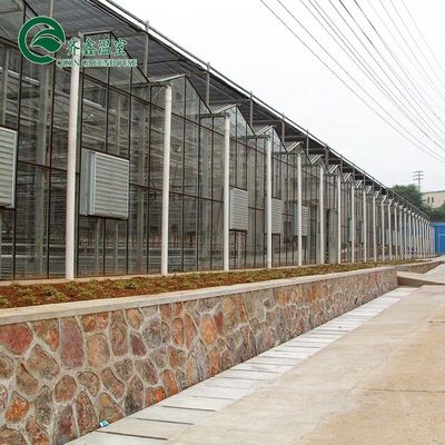 Invernaderos agrícolas de varias franjas cubiertos con vidrio templado o hoja de PC