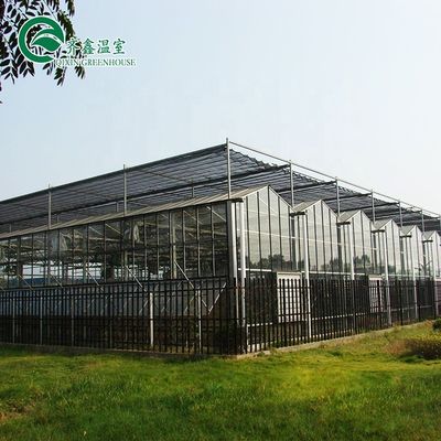 Invernaderos agrícolas de varias franjas cubiertos con vidrio templado o hoja de PC