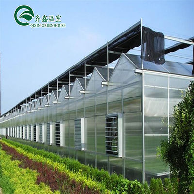 El invernadero multi-espacio de Venlo mejora la agricultura con un sistema de sombreado interior y exterior