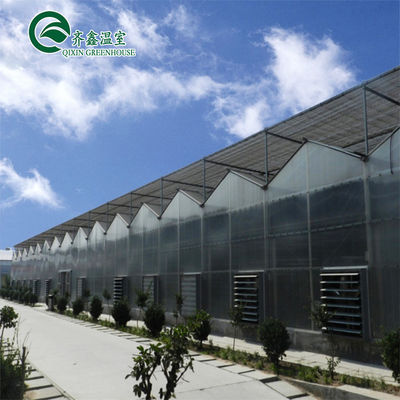 El invernadero multi-espacio de Venlo mejora la agricultura con un sistema de sombreado interior y exterior