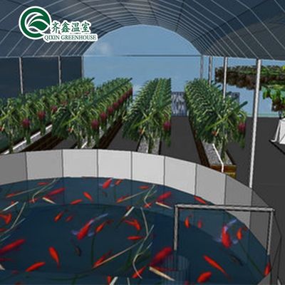 Hortalizas Frutas Flores Sistema acuapónico Invernaderos agrícolas de varias extensiones Rendimiento