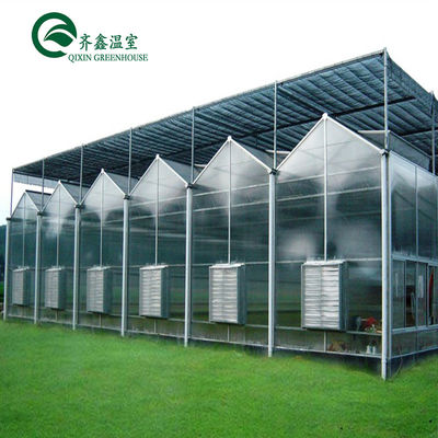 El invernadero multi-espacio de Venlo mejora la agricultura con un sistema de sombreado interior y exterior