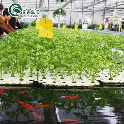 Hortalizas Frutas Flores Sistema acuapónico Invernaderos agrícolas de varias extensiones Rendimiento