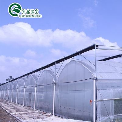 Invernaderos agrícolas de varias extensiones Hidropónicos Torre aeropónica Jardín para película Invernadero