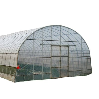 Invernaderos agrícolas de una sola extensión con película de cubierta El ambiente perfecto para el crecimiento