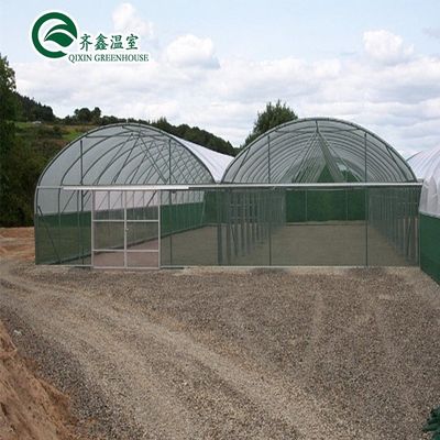 Invernaderos agrícolas de una sola extensión con película de cubierta El ambiente perfecto para el crecimiento