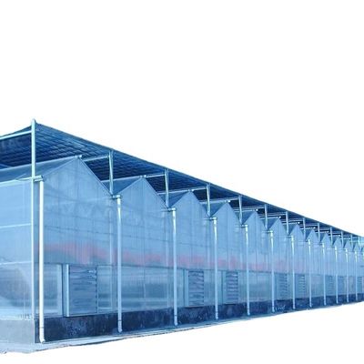 3.8m-9.8m Alturas de la cresta Invernadero solar de vidrio para los requisitos del cliente