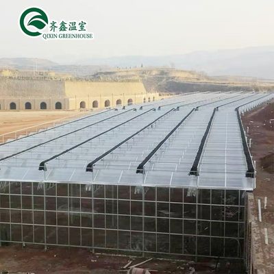 Instrucciones para el cultivo de hortalizas