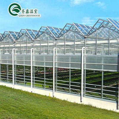 Hortalizas Frutas Flores Tomates Invernadero con sistema de sombreado interior y exterior