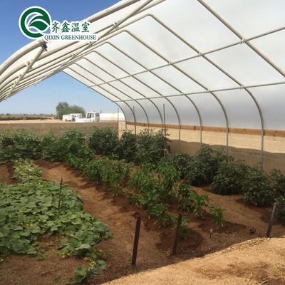 Hortalizas Frutas Flores Hongo Casa para el cultivo ecológico