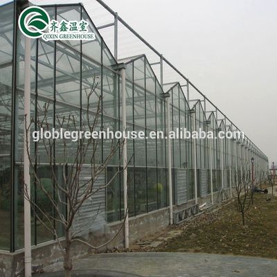 Hortalizas Frutas Flores Tomates Invernadero con sistema de sombreado interior y exterior