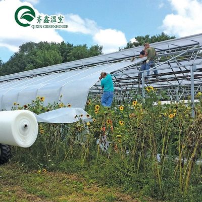 Hortalizas Frutas Flores Hongo Casa para el cultivo ecológico