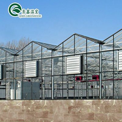 Hortalizas Frutas Flores Tomates Invernadero con sistema de sombreado interior y exterior
