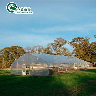 Hortalizas Frutas Flores Hongo Casa para el cultivo ecológico