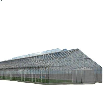 Hortalizas Frutas Flores Hongo Casa para el cultivo ecológico