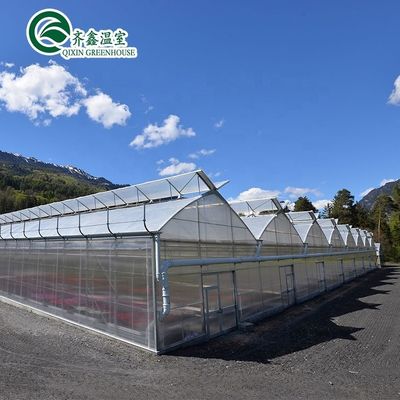 Material de cubierta de la hoja de PC Invernadero agrícola de varias extensiones para el cultivo de hortalizas