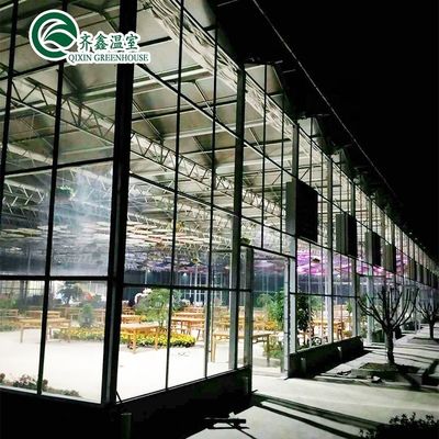 Estructura de acero galvanizado Invernadero de vidrio Venlo para el cultivo de verduras Frutas Flores