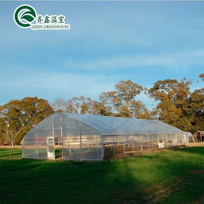 Invernadero de refrigeración con estructura de acero de aluminio galvanizado en caliente para el cultivo de lechuga