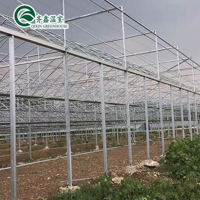 Material de cubierta de la hoja de PC Invernadero agrícola de varias extensiones para el cultivo de hortalizas