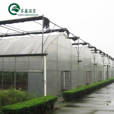 Material de cubierta de la hoja de PC Invernadero agrícola de varias extensiones para el cultivo de hortalizas