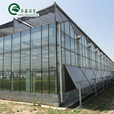 Estructura de acero galvanizado Invernadero de vidrio Venlo para el cultivo de verduras Frutas Flores