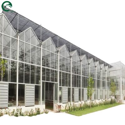 Una buena permeabilidad a la luz es esencial para los invernaderos de vidrio Venlo en la industria agrícola