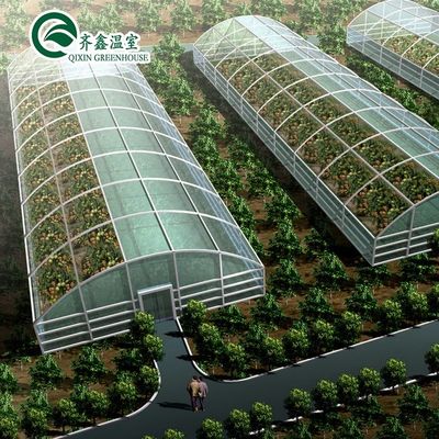 Equipo de cultivo de hongos de invernadero de sola envergadura cubierto con película de plástico transparente