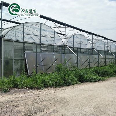 Aumentar la cosecha de patatas Tubos de plástico grandes Invernaderos agrícolas de múltiples tramos
