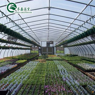 Equipo de cultivo de hongos de invernadero de sola envergadura cubierto con película de plástico transparente