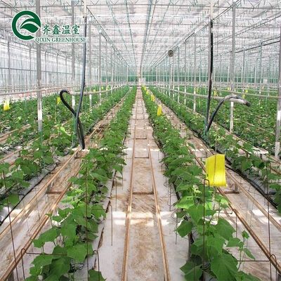 Cubierta de película Sistema de cultivo hidropónico de doble capa para invernadero