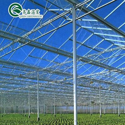 Una buena permeabilidad a la luz es esencial para los invernaderos de vidrio Venlo en la industria agrícola