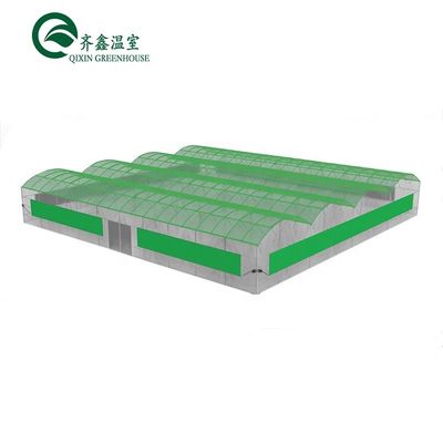 Diseño del cobertizo de la estructura del invernadero de acero grande con 150/200micro PE film