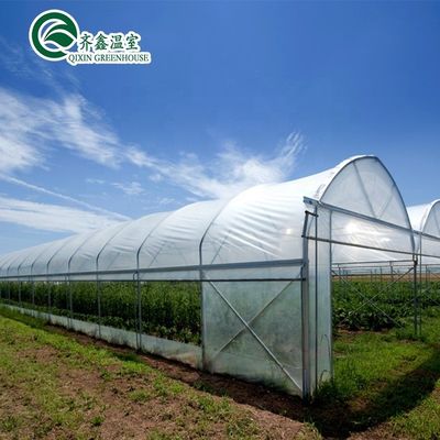 Invernaderos pequeños para jardines con doble capa y caja de control automática