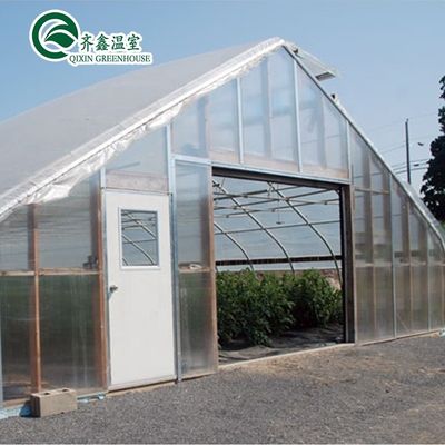 Invernaderos pequeños para jardines con doble capa y caja de control automática