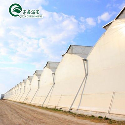 Sistema de cultivo hidropónico acuapónico en invernadero con opciones de enfriamiento y ventilación