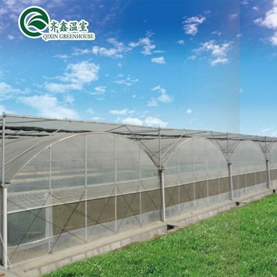 Sistema de cultivo hidropónico acuapónico en invernadero con opciones de enfriamiento y ventilación