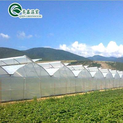 Sistema de cultivo hidropónico acuapónico en invernadero con opciones de enfriamiento y ventilación